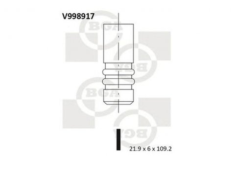 Supapa evacuare SUZUKI IGNIS II BGA V998917