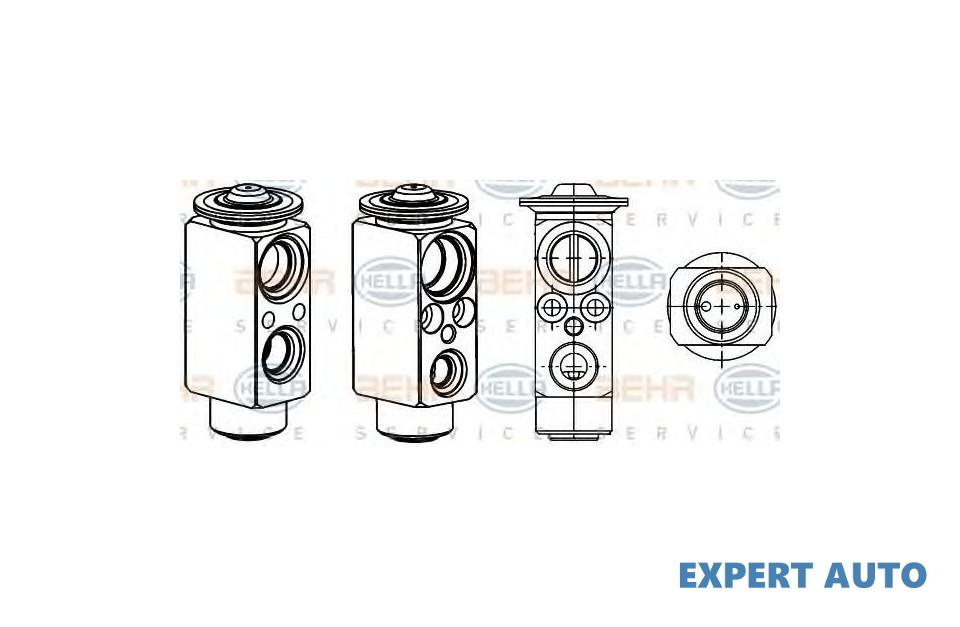 Supapa expansiune clima BMW X5 (E53) 2000-2006 #8 06001089