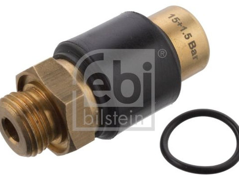 Supapa regulator presiune 105976 FEBI BILSTEIN