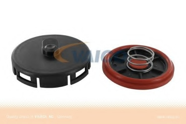 Supapa V20-1793 VAICO pentru Bmw Seria 3 Bmw Seria 1 Bmw Z4 Bmw X3 Bmw X1 Bmw Seria 5