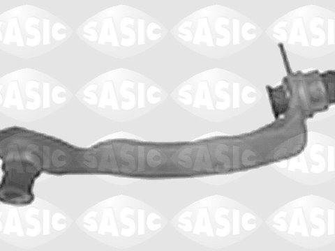 Suport 4005521 SASIC pentru Renault Megane Renault ScEnic Renault Grand