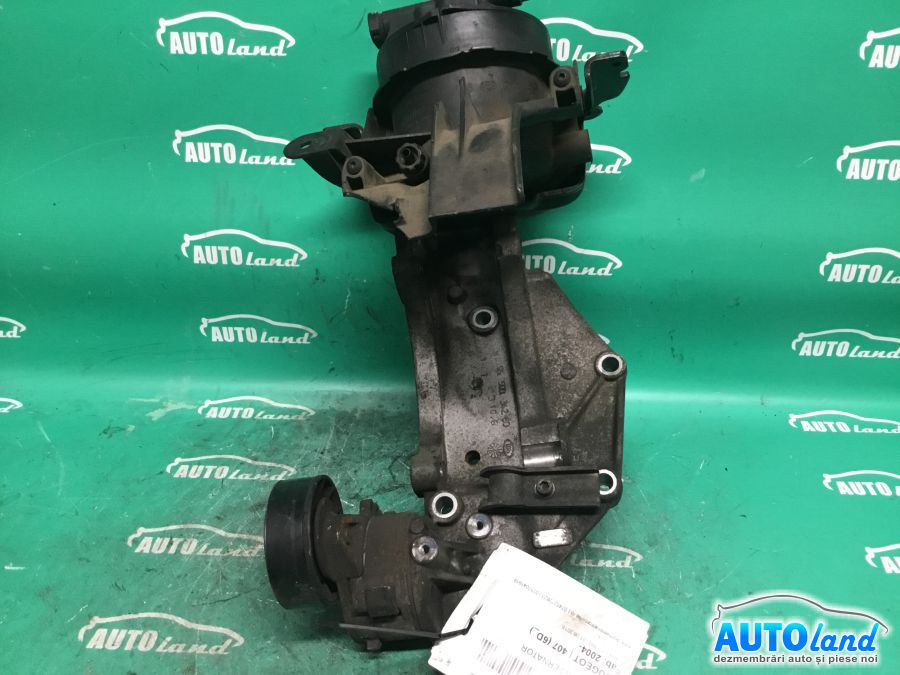 Suport Alternator 9650034280 Intinzator Curea, 2.0