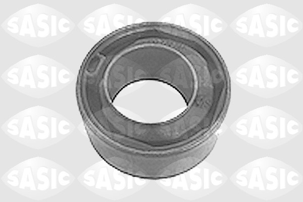Suport, ax SASIC montare puntea spate 4003398 pentru masina RENAULT Megane I Kombi van (KA_) 2001 2002 2003