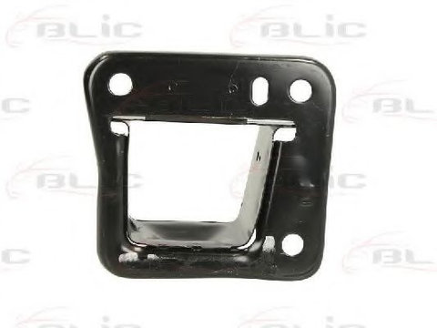 Suport, bara protectie FORD FOCUS Clipper (DNW) (1999 - 2007) BLIC 5504-00-2532932P