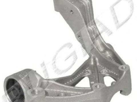 Suport, bucsa brat SEAT IBIZA V (6J5, 6P1) (2008 - 2016) BUGIAD BSP20325