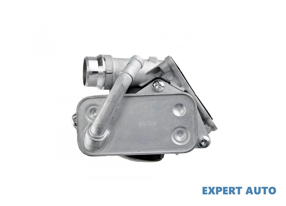 Suport filtru ulei + termoflot BMW X3 (2