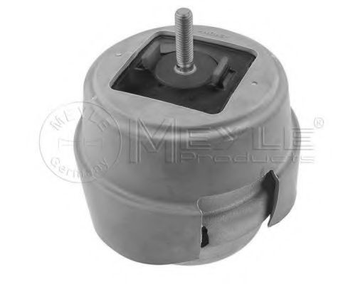Suport motor AUDI A4 Cabriolet (8H7, B6, 8HE, B7) (2002 - 2009) MEYLE 100 199 0189