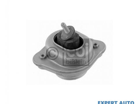 Suport motor BMW 3 Touring (E46) 1999-2005 #2 1225111