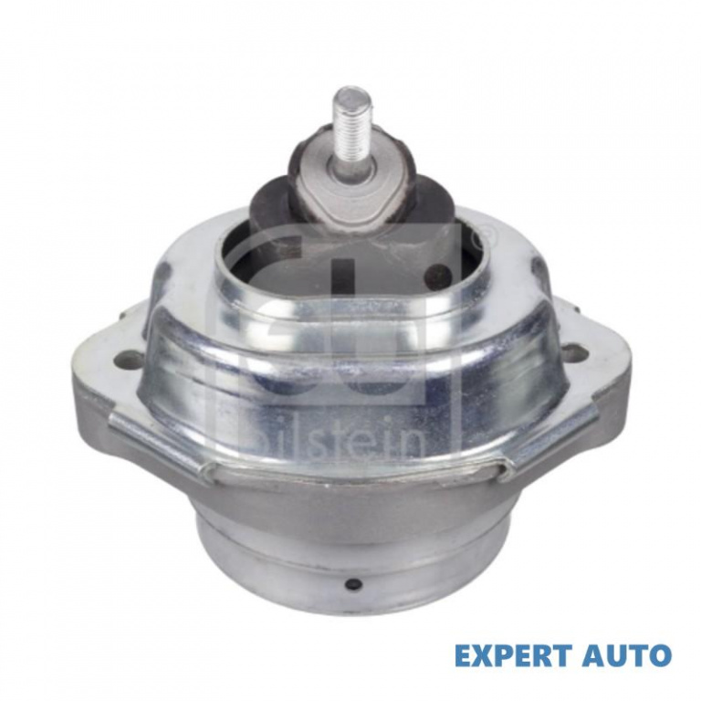 Suport motor BMW X5 (E53) 2000-2006 #2 05813