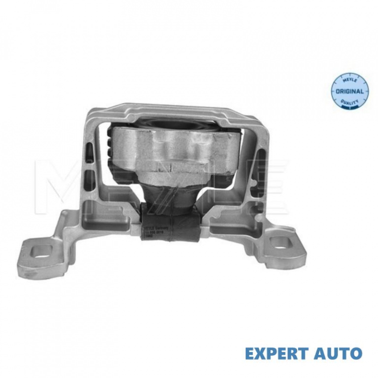 Suport motor Ford C-Max (2007->) #2 1226367