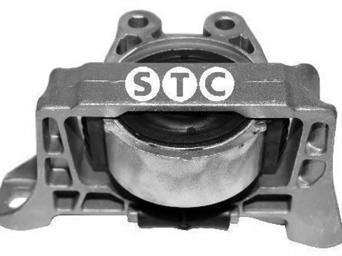 Suport motor FORD FOCUS C-MAX (2003 - 2007) STC T405276