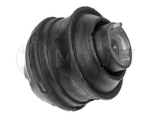 Suport motor MERCEDES-BENZ E-CLASS T-Model (S211) - Cod intern: W20122221 - LIVRARE DIN STOC in 24 ore!!!