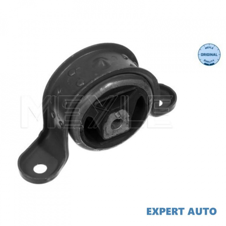 Suport motor Opel ASTRA F hatchback (53_, 54_, 58_, 59_) 1991-1998 #8 0684646