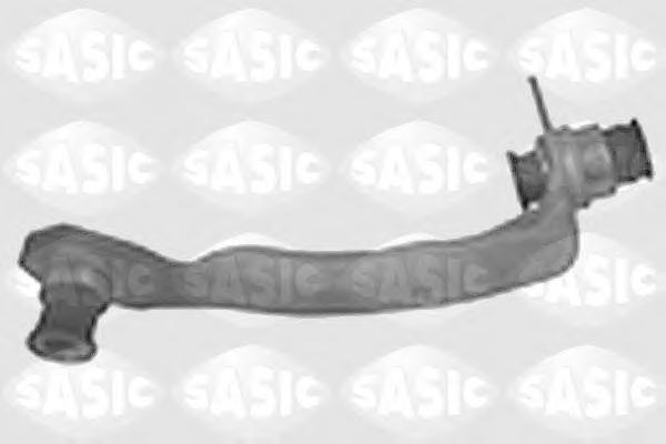 Suport motor RENAULT MEGANE II (BM0/1_, CM0/1_), RENAULT Scenic II (JM0/1_), RENAULT MEGANE II Coup-Cabriolet (EM0/1_) - SASIC 4005521