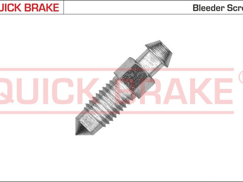 Surub aerisire, cilindru receptor frana puntea spate (0053X QBK) Citroen,DACIA,DS,FIAT,FORD,MERCEDES-BENZ,NISSAN,OPEL,PEUGEOT,RENAULT,SMART,SUZUKI,TOYOTA,VAUXHALL,VOLVO