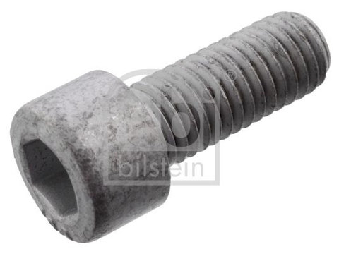 Surub ax,cardan FEBI BILSTEIN 101235