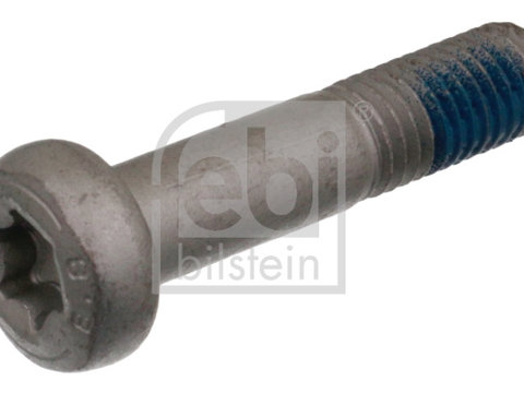 Surub, brat oscilant (24385 FEBI BILSTEIN) FORD