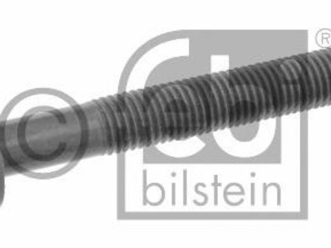 Surub chiulasa AUDI 90 (8C, B4), VW ILTIS (183), AUDI 80 Avant (8C, B4) - FEBI BILSTEIN 06666