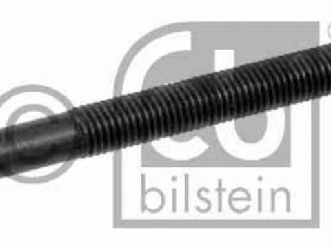 Surub chiulasa RENAULT CLIO (B/C57_, 5/357_), RENAULT TWINGO I (C06_), RENAULT KANGOO (KC0/1_) - FEBI BILSTEIN 22411