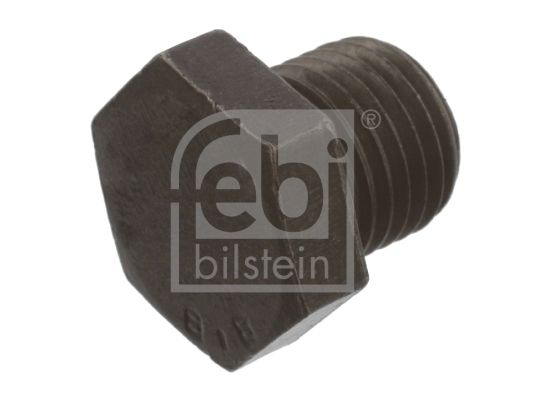 Surub de golire,baia de ulei FEBI BILSTEIN 03160