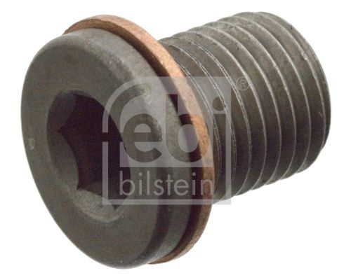 Surub de golire,baia de ulei FEBI BILSTEIN 104310