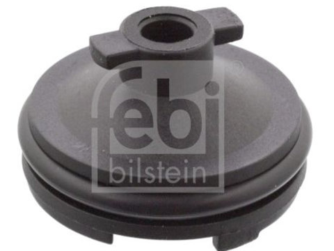 Surub de golire,baia de ulei FEBI BILSTEIN 106566