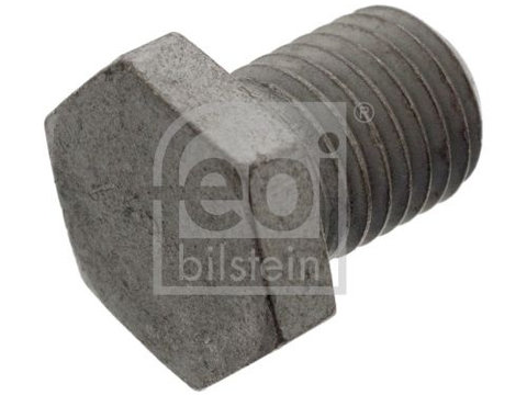 Surub de golire,baia de ulei FEBI BILSTEIN 48890