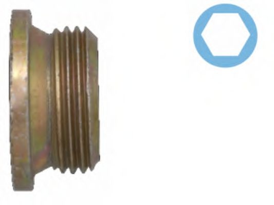 Surub de golire,baia de ulei FIAT DUCATO bus (244)