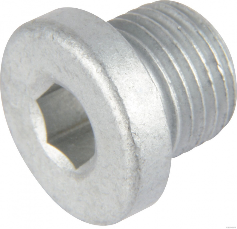 Surub de golire,baia de ulei HERTH+BUSS ELPARTS 50240013