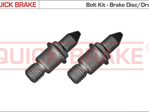 Surub, disc frana punte fata (11677K QBK) ALFA ROMEO,Citroen,FIAT,LANCIA,PEUGEOT