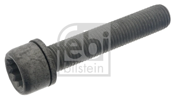 Surub, etrier Febi Bilstein 48817