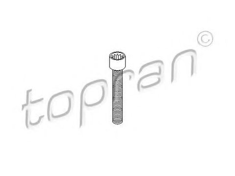 Surub,flansa cardan AUDI A4 (8E2, B6) (2000 - 2004) TOPRAN 104 306
