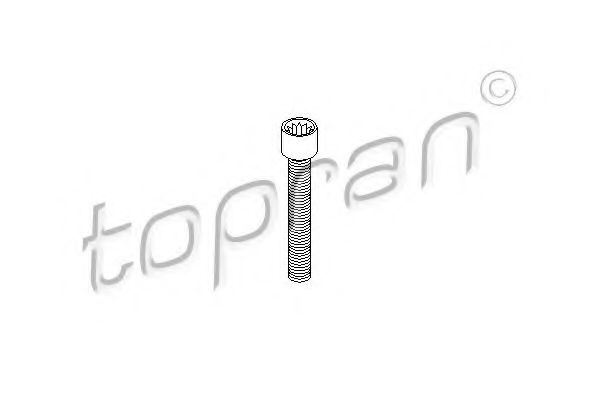 Surub,flansa cardan AUDI A4 Avant (8E5, B6) (2001 - 2004) TOPRAN 104 306