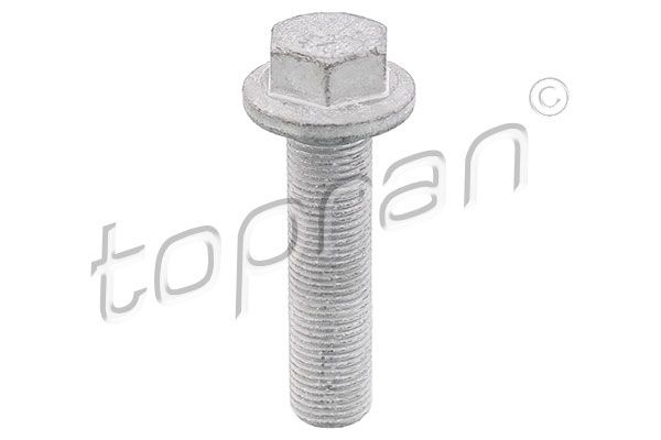 Surub fulie 701 617 TOPRAN pentru Renault Megane Renault Gran Renault ScEnic Renault Master Renault Laguna Renault Trafic Renault Grand Renault Koleos