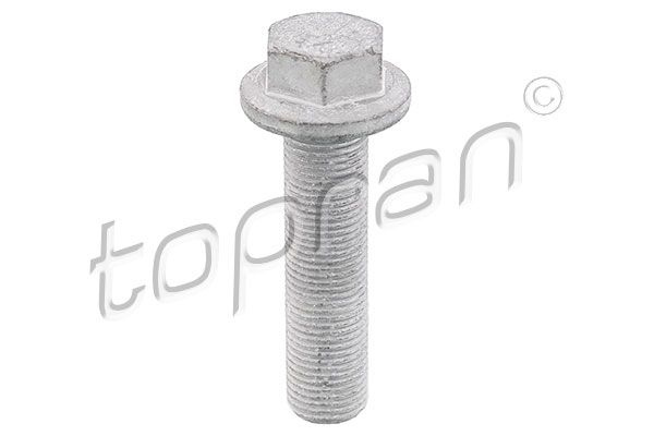 Surub fulie # Renault Megane 2010 2011 2012 2013 2014 2015 2016 2017 2018 2019 2020 2021 2022 2023 2024 2025 # 701 617 # TOPRAN