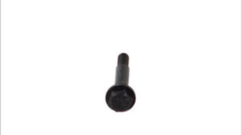 Surub galerie evacuare (M8x63) CITROEN C2, C3 I, C3 PLURIEL, C4, C4 I, HONDA CIVIC VI, JAZZ II, OPEL ASTRA F, ASTRA F CLASSIC, ASTRA G, ASTRA G CLASSIC 1.1-2.6 04.88-