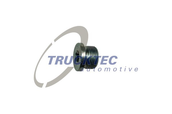 Surub golire, carcasa transmisie (0710079 TRUCKTEC) AUDI