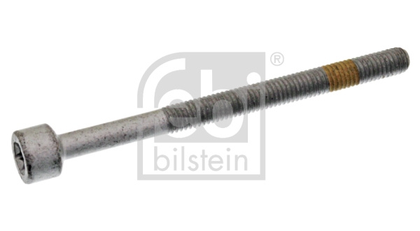 Surub, suport injector (28407 FEBI BILSTEIN) MERCEDES-BENZ,SMART