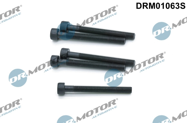 Surub, suport injector Dr.Motor Automotive DRM01063S pentru VW TRANSPORTER T5 caroserie (7HA, 7HH, 7EA, 7EH) 2003-2009
