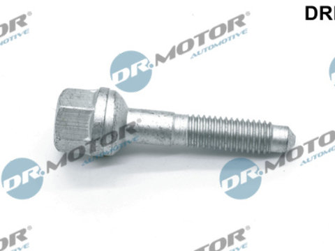 Surub, suport injector (DRM01062 DRM) Citroen,PEUGEOT