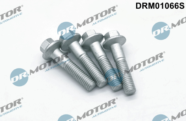 Surub, suport injector (DRM01066S DRM) FORD