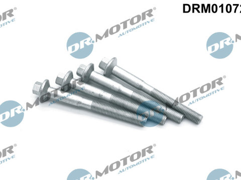 Surub, suport injector (DRM01072S DRM) Citroen,FORD,PEUGEOT