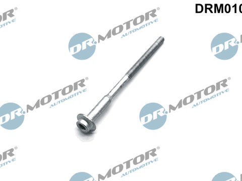 Surub, suport injector (DRM01077 DRM) SEAT,SKODA,VW