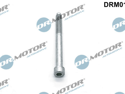 Surub, suport injector (DRM01093 DRM) Citroen,DS,FORD,FORD USA,PEUGEOT