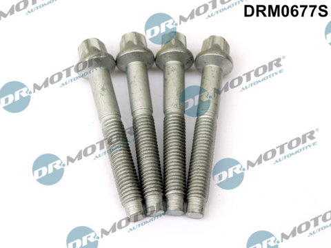 Surub, suport injector (DRM0677S DRM) Citroen,DS,FIAT,FORD,MAZDA,OPEL,PEUGEOT,VAUXHALL,VOLVO
