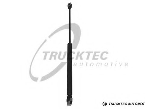 Suspensie pneumatica clapeta fata 08 62 019 TRUCKTEC AUTOMOTIVE pentru Bmw Seria 3