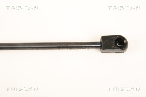 Suspensie pneumatica clapeta fata 8710 24106 TRISCAN pentru Opel Insignia