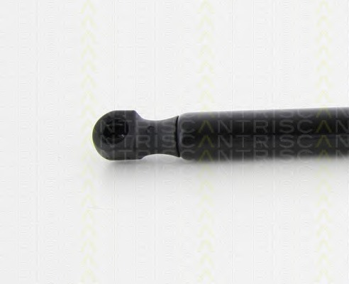Suspensie pneumatica clapeta fata # Bmw 
