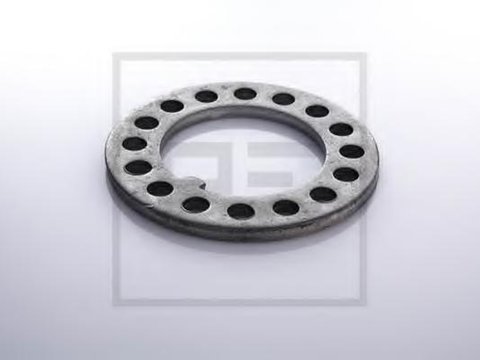 Tabla fixare, bolturi saboti frana - PE Automotive 066.053-00A