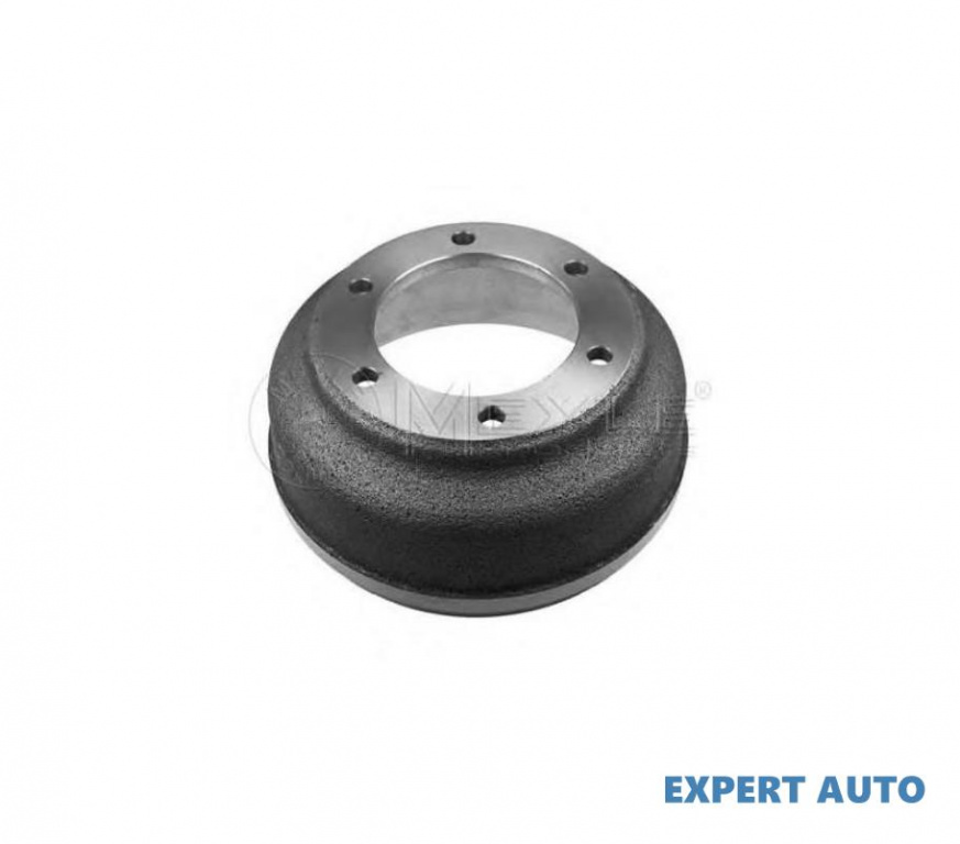 Tambur frana Ford TRANSIT platou / sasiu (FM_ _, F